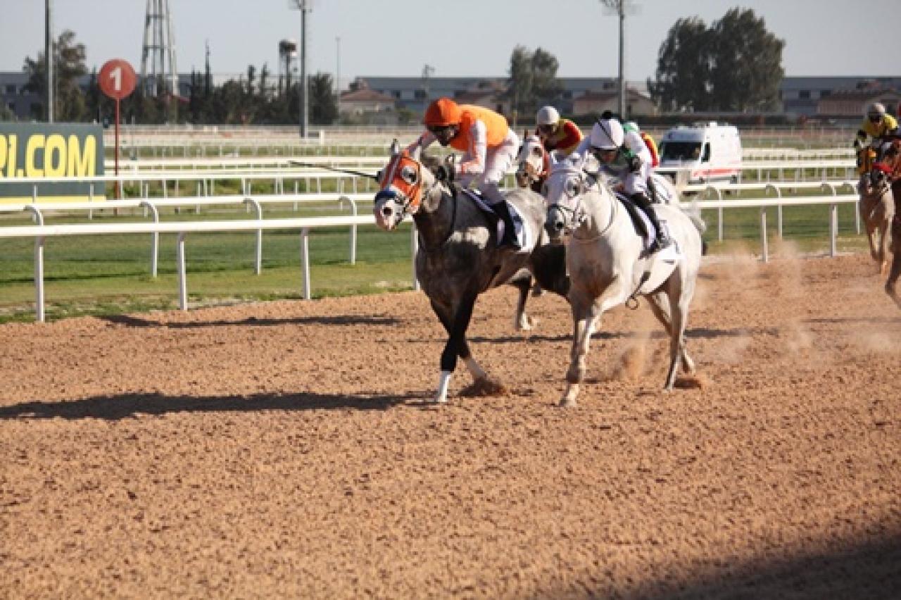 Adana Vali Koşusu'nda zafer Sergökçe'nin oldu