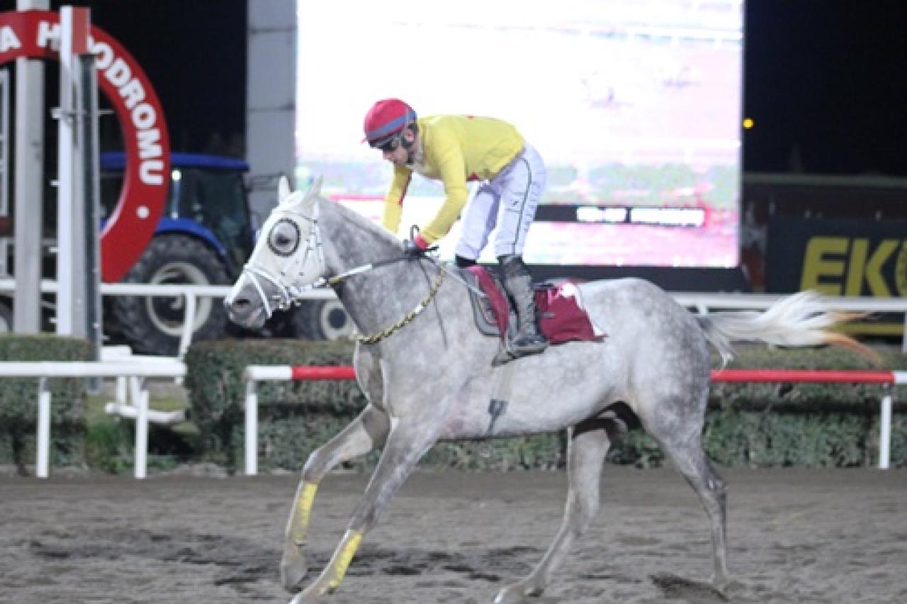 Suruç Kaymakamlığı Koşusu’nu Aslan Hatip kazandı