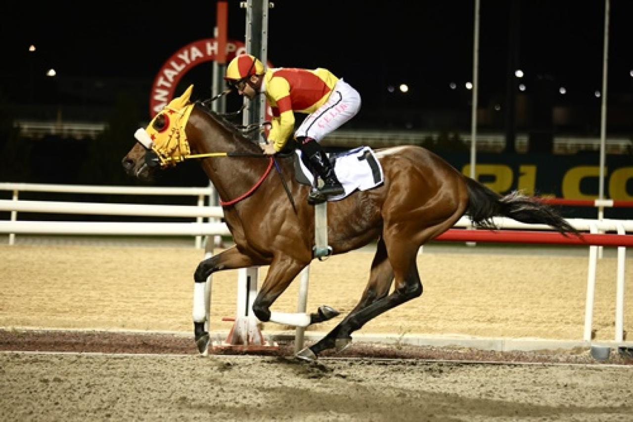 Antalya Büyükşehir Belediye Başkanlığı Koşusu'nda kazanan Bay Nalçakan oldu