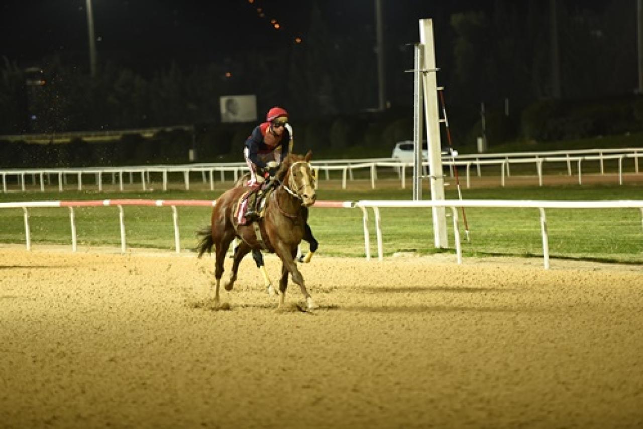 Osman Kapani Koşusu'nda kazanan Fleximan oldu