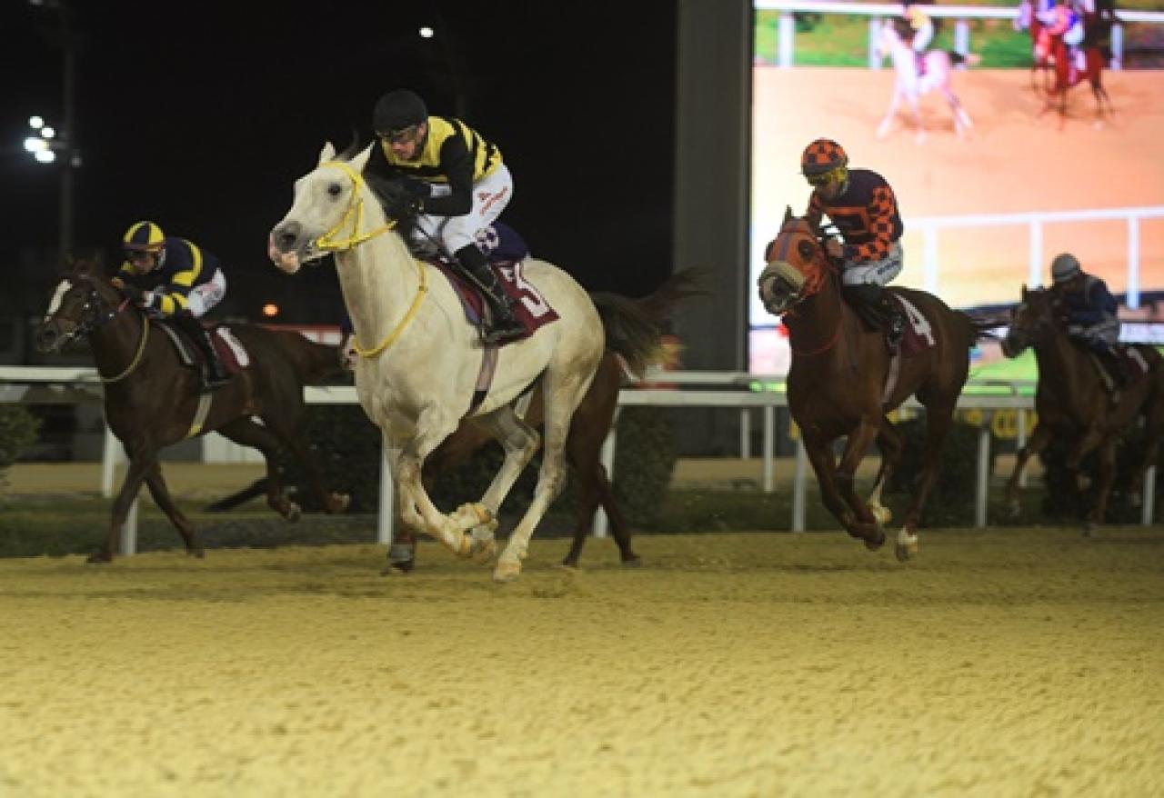 Orhan Tanatar Koşusu’nu By Türkoğlu kazandı