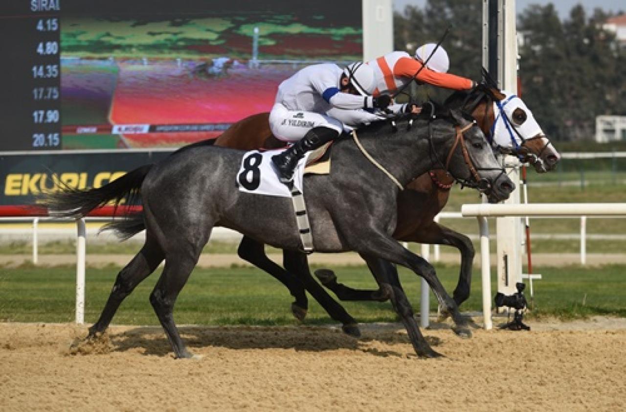Hipodrom.com Ege Derbisi'nde zafere uzanan The Protecter oldu