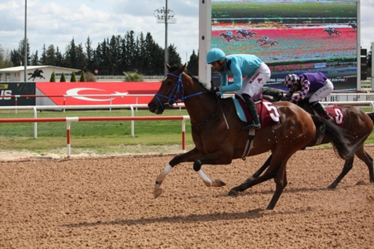 Kemal Özekici Koşusu'nda kazanan Prenses Sylvester oldu