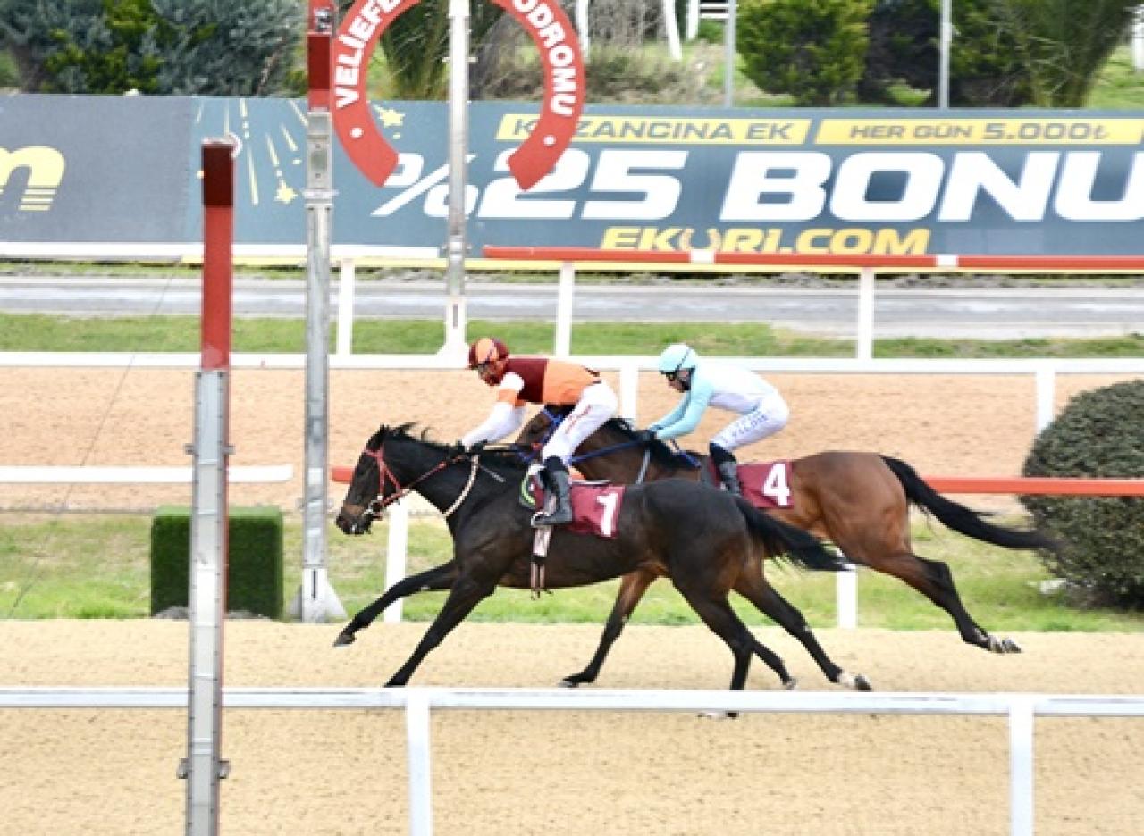 Nuri Midillili Koşusu'nda kazanan İphiklos oldu