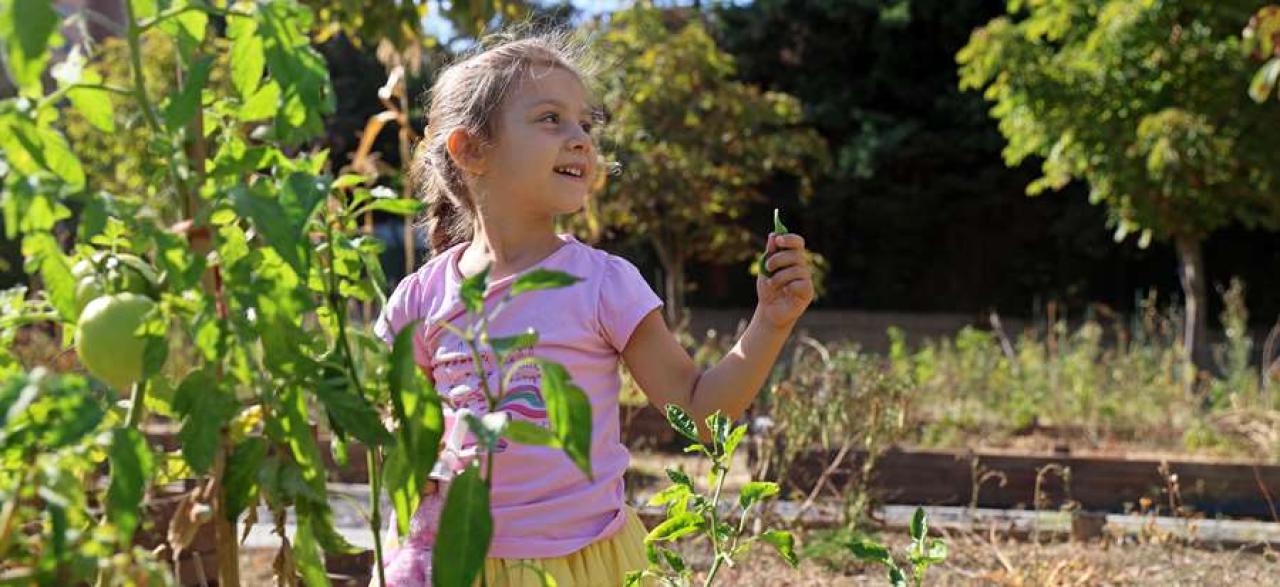 SECAP ANKETİYLE GÖRÜŞLERİNİZİ PAYLAŞABİLİRSİNİZ