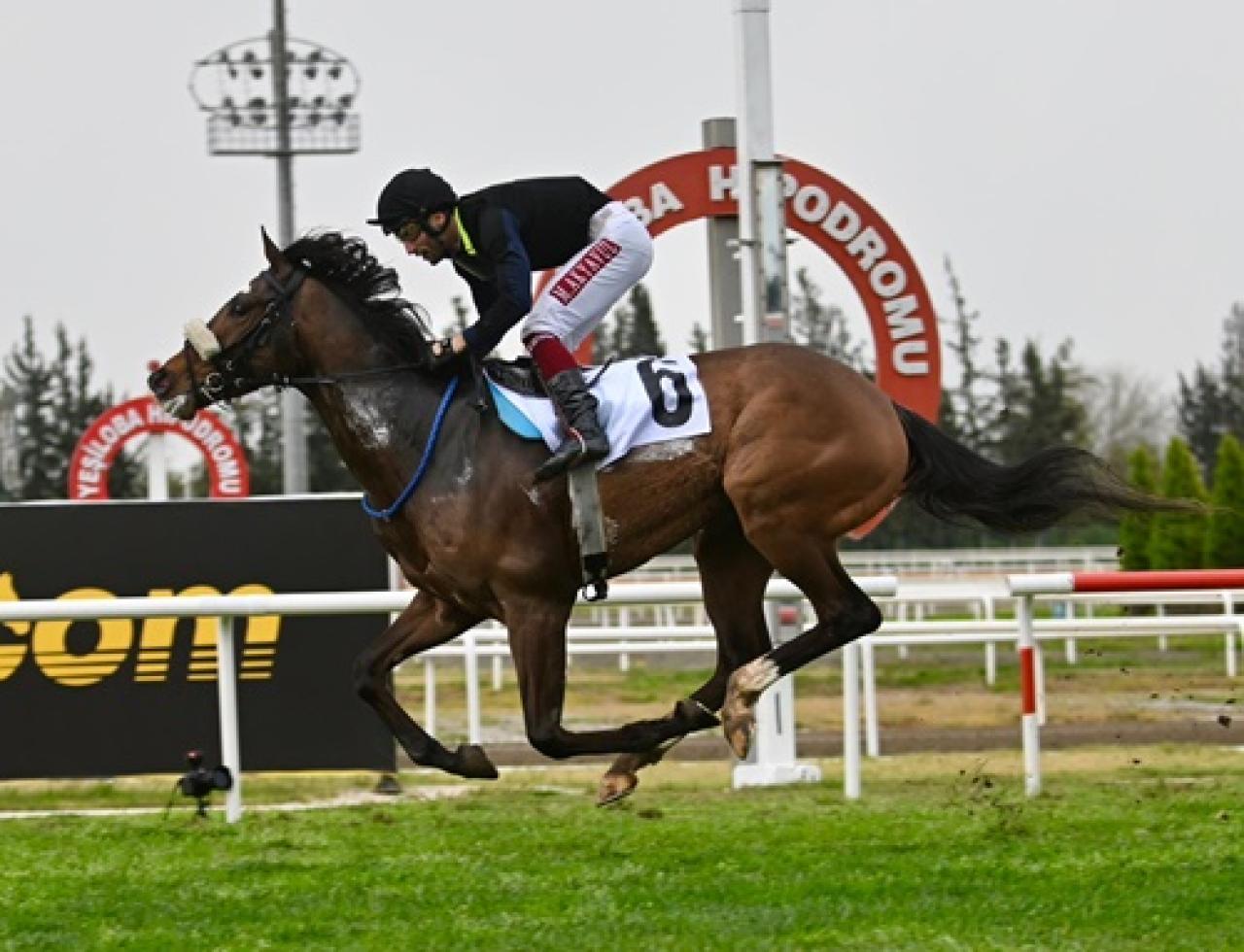 Tendürek Koşusu'nda zafere ulaşan Massimo Supremo oldu