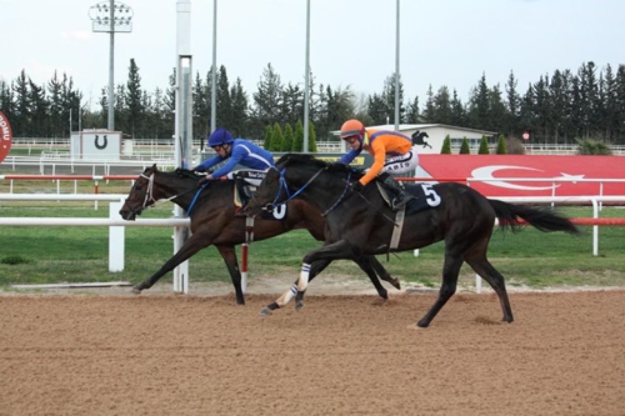 Sarıçam Belediye Başkanlığı Koşusu'nda kazanan Money Well Spent oldu