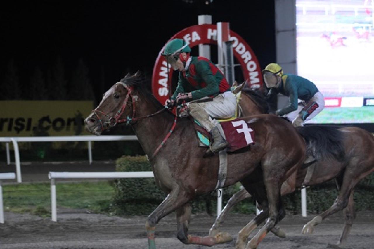 Siverek Belediye Başkanlığı Koşusu'nda kazanan Payidar Kaya oldu