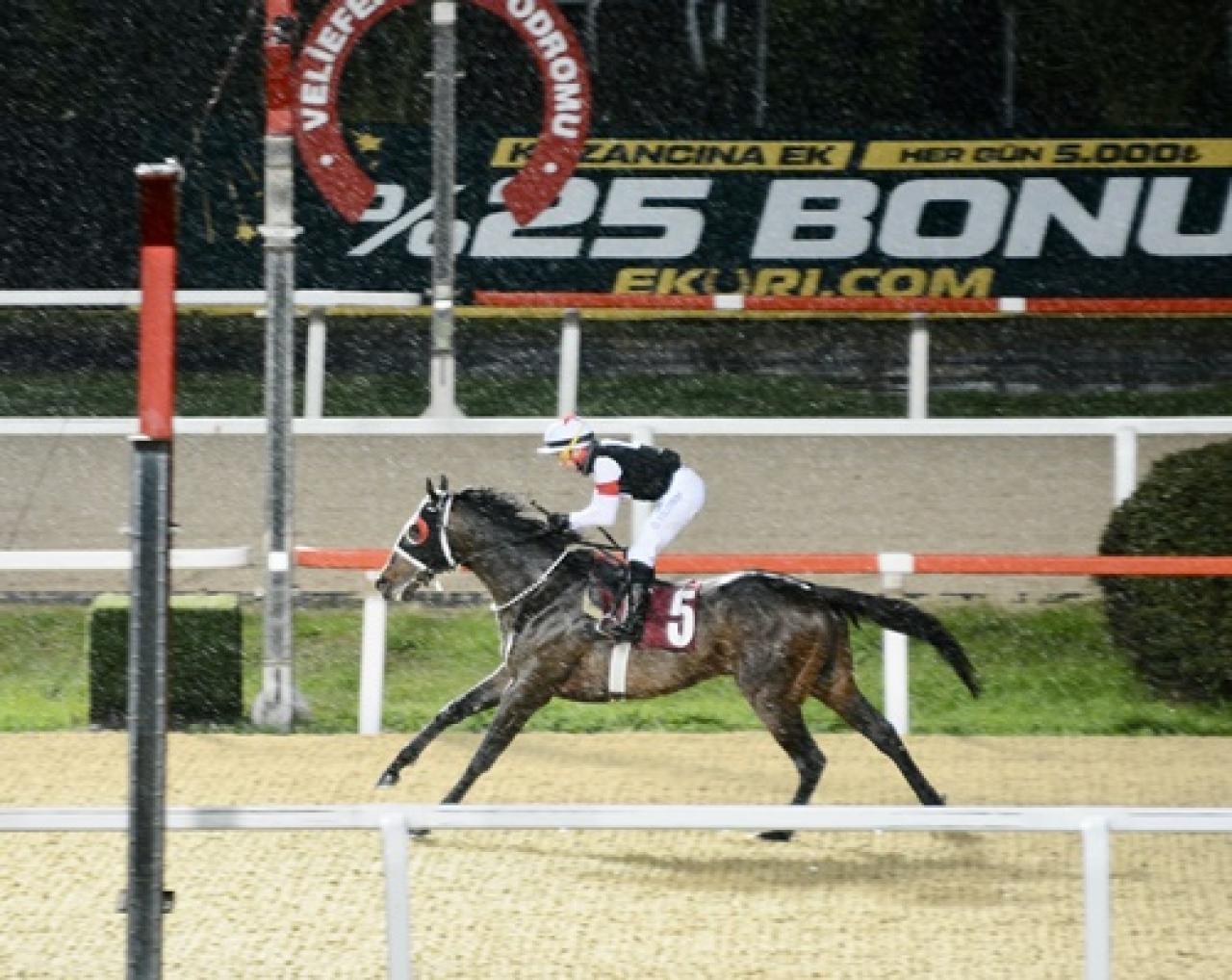 Mustafa Alver Koşusu'nu Hope Breeze kazandı