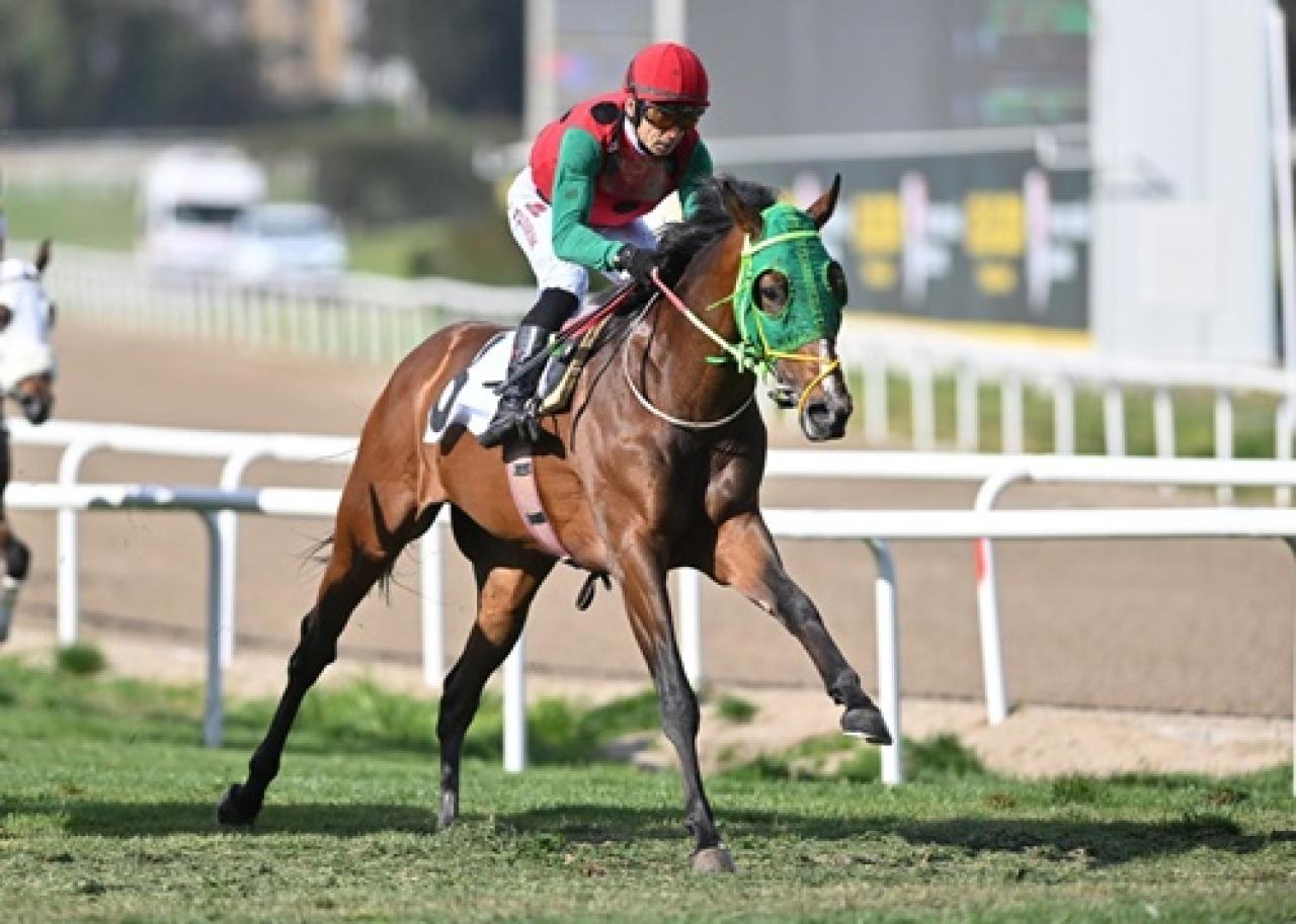 Fevzi Lütfi Karaosmanoğlu Koşusu'nda kazanan Kralın Dansı oldu