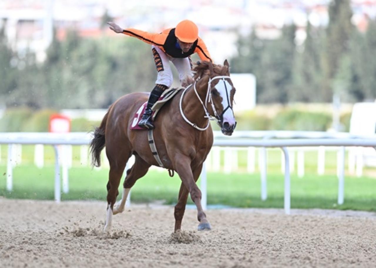 Sadık Giz Koşusu'nu Wardenclyffe kazandı