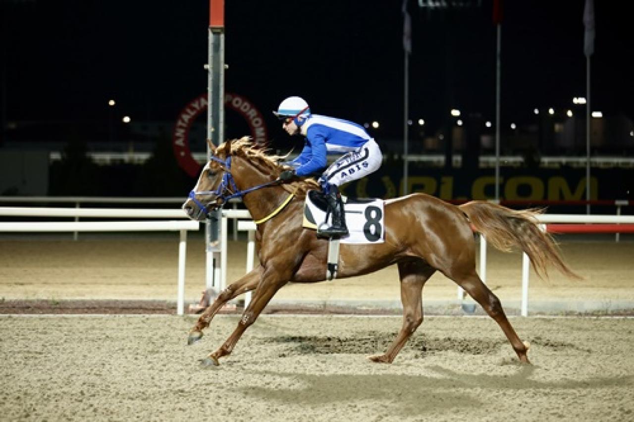 Aspendos Koşusu’nu Metincim kazandı