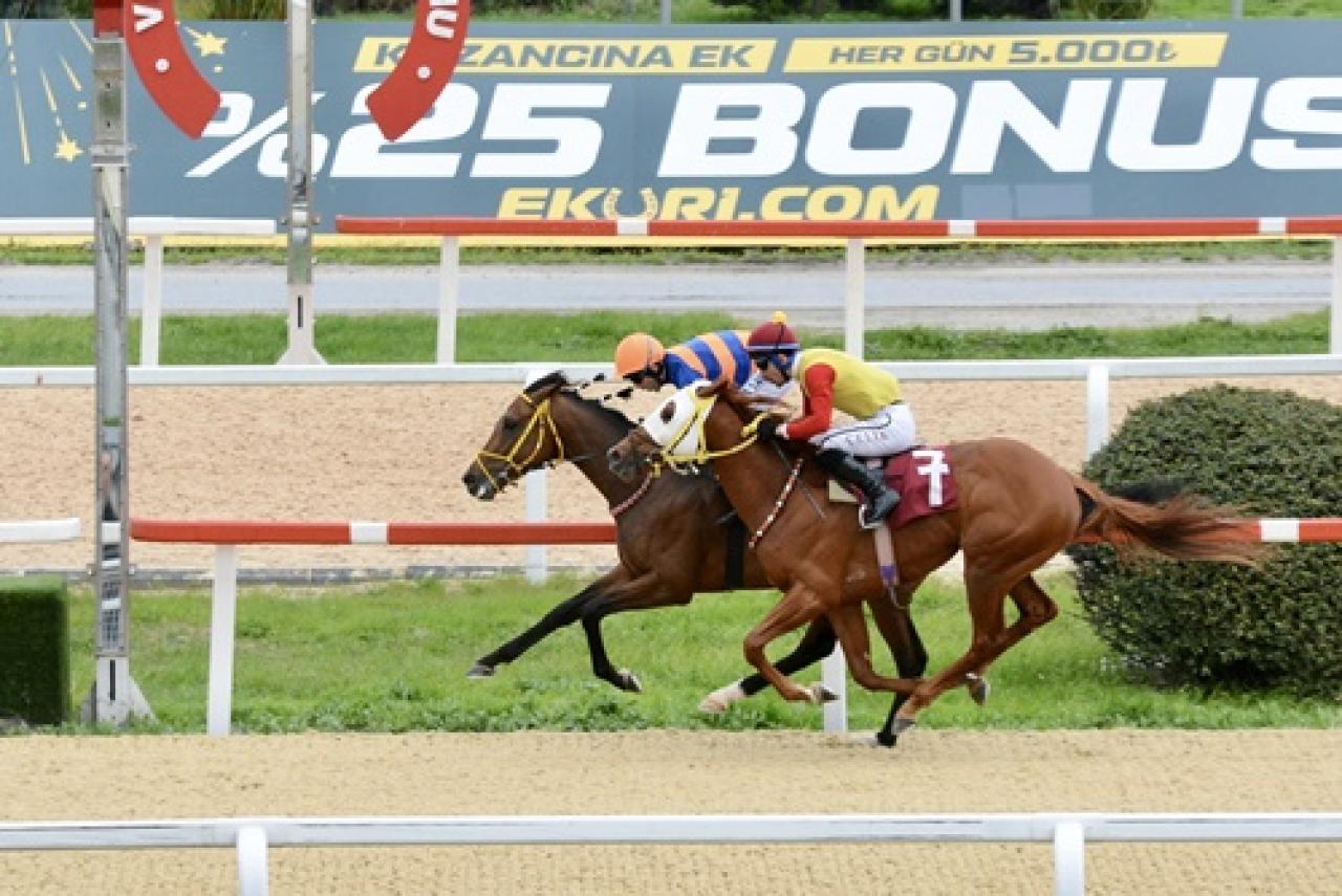 İbrahim Hilmi Narmanlı Koşusu'nda kazanan Rand Al Thor oldu