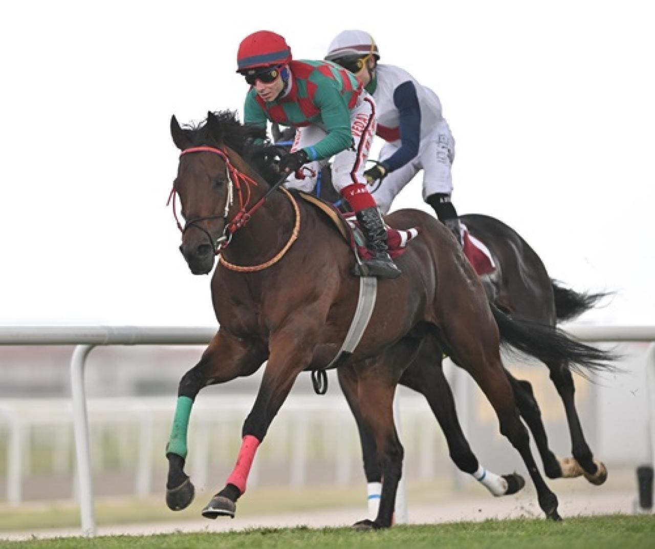 Portakal Çiçeği Koşusu'nu Mountain kazandı