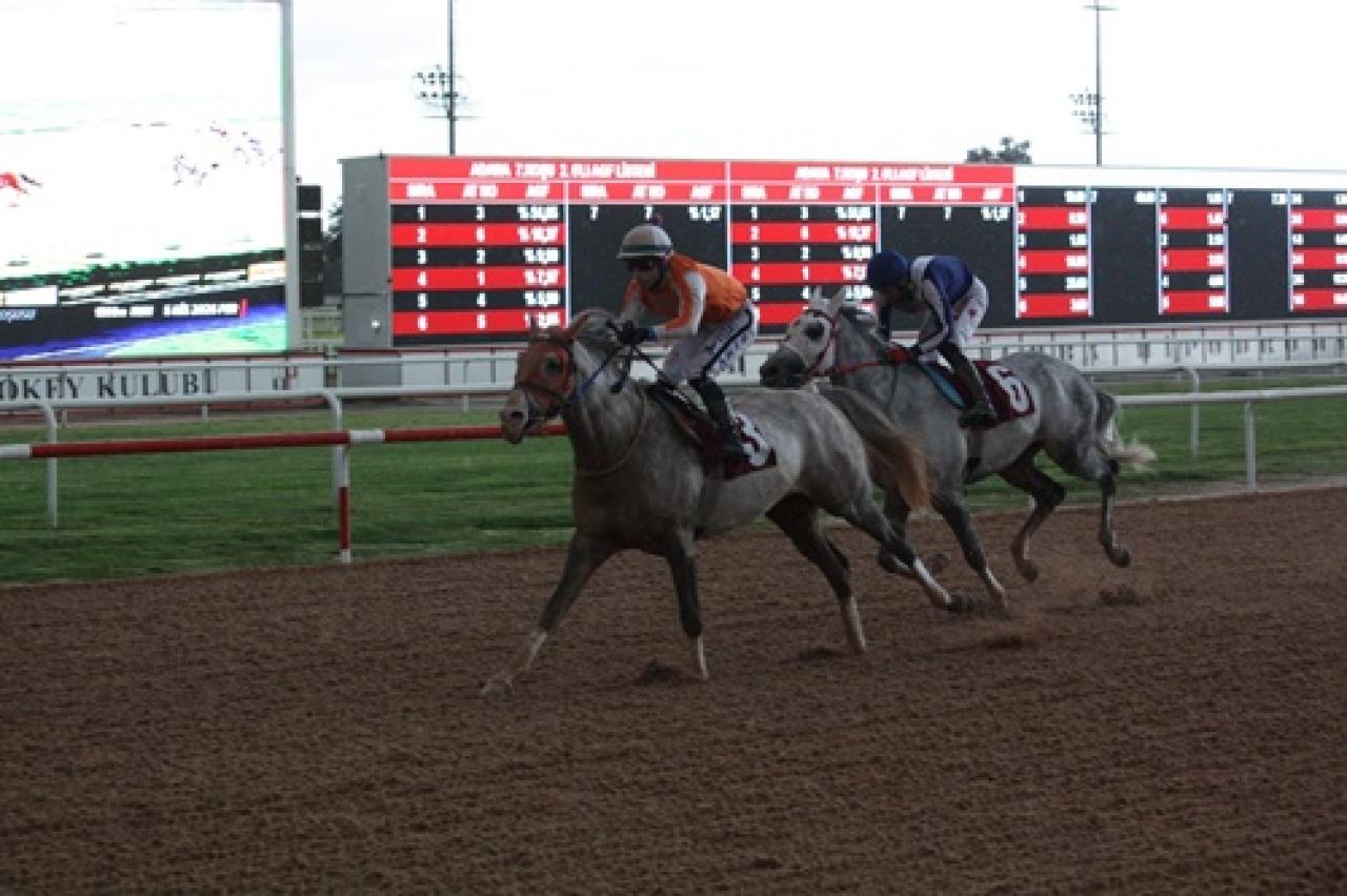 Yasin Milli Koşusu'nda kazanan Endorfin oldu