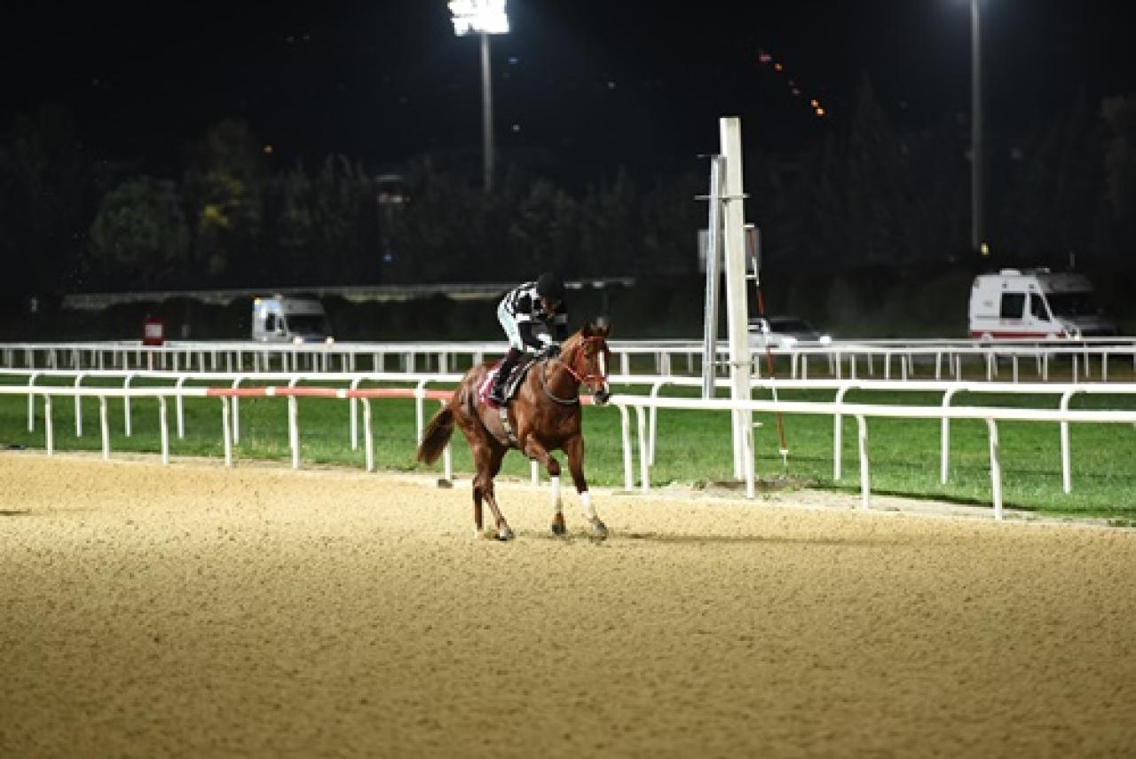 Gür Özbelge Koşusu'nda kazanan Hard Runner oldu