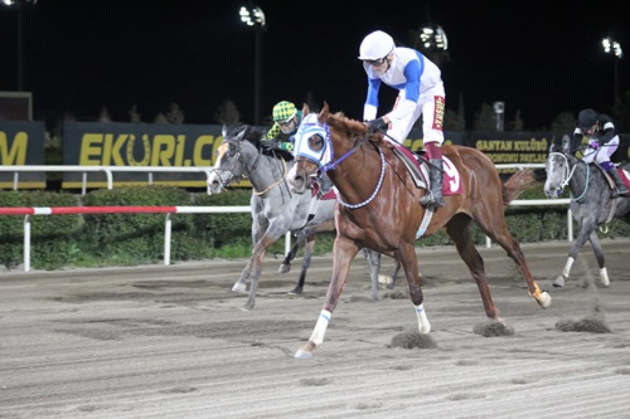 Gap Koşusu'nda kazanan The Hocus oldu