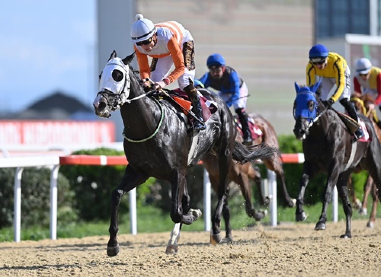 İstanbul Emniyet Müdürlüğü Koşusu'nda kazanan Mucho Bueno oldu