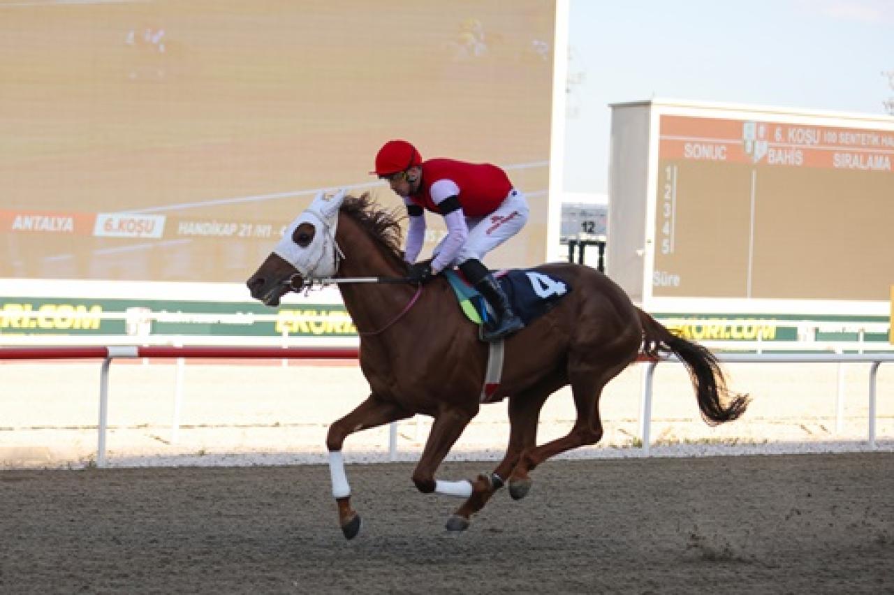 Antalya Emniyet Müdürlüğü Koşusu'nu kazanan Address oldu