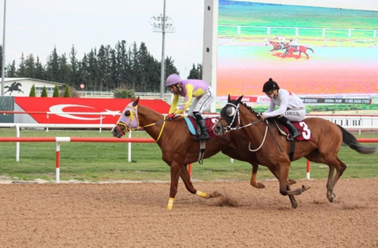 Ali Rıza Ongun Koşusu'nu Empire Man kazandı