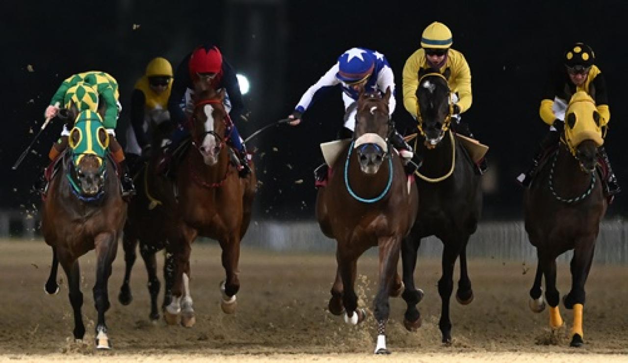 Dr. Ergon Mengi Koşusu'nda galibiyete ulaşan Ammayaman oldu