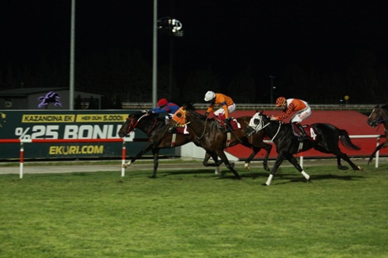 Adana Emniyet Müdürlüğü Koşusu'nda kazanan Broarts oldu