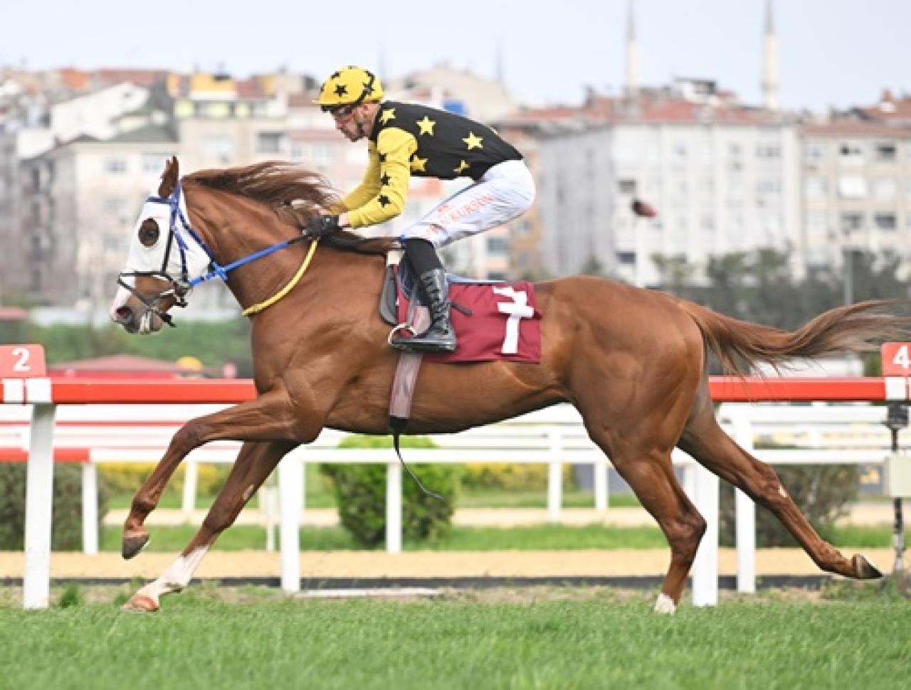 Ergin Talay Koşusu'nu Wolf Rules kazandı