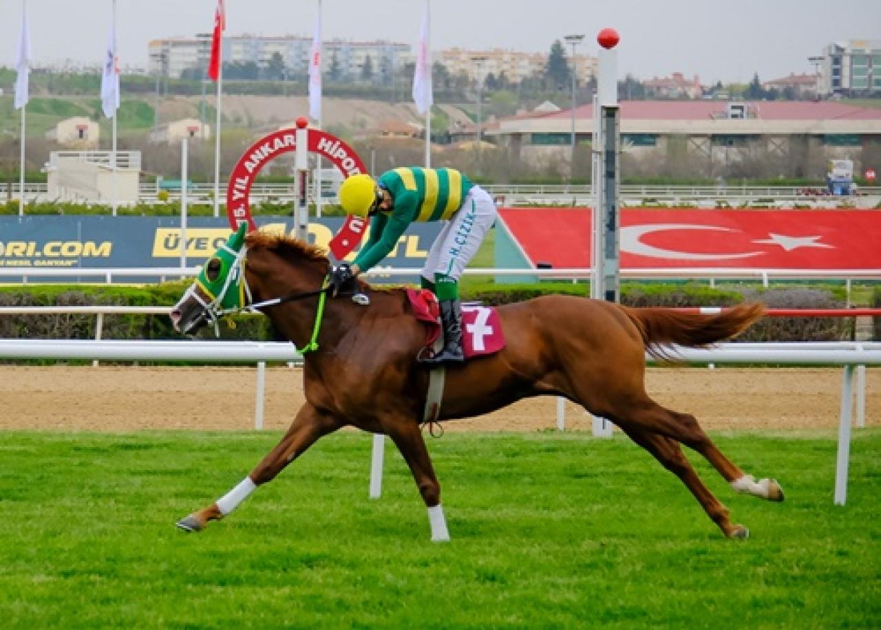 Serbest Handikap Cevdet Karataş Koşusu'nda kazanan Herzaman oldu