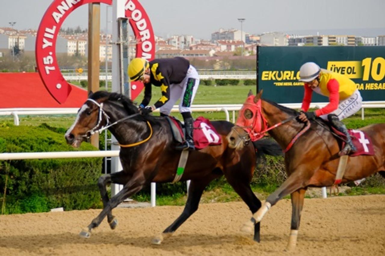 Ankara Emniyet Müdürlüğü Koşusu'nu Dragon Kingdom kazandı