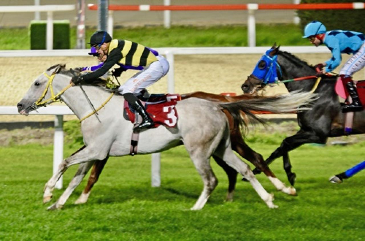 Attila Midillili Koşusu'nda kazanan By Türkoğlu oldu