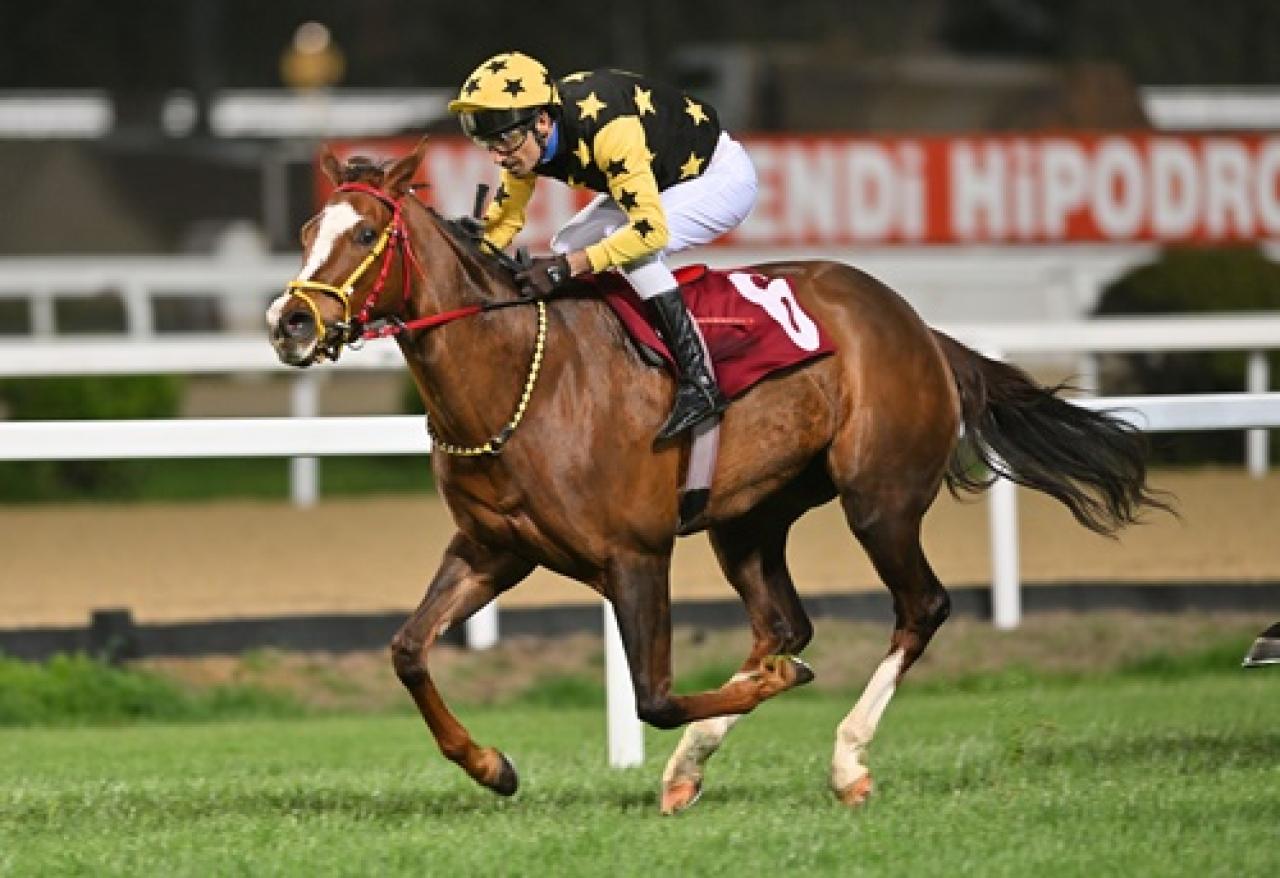 N. Arek Kuyumciyan Koşusu'nda zafere uzanan Amazing Touch oldu