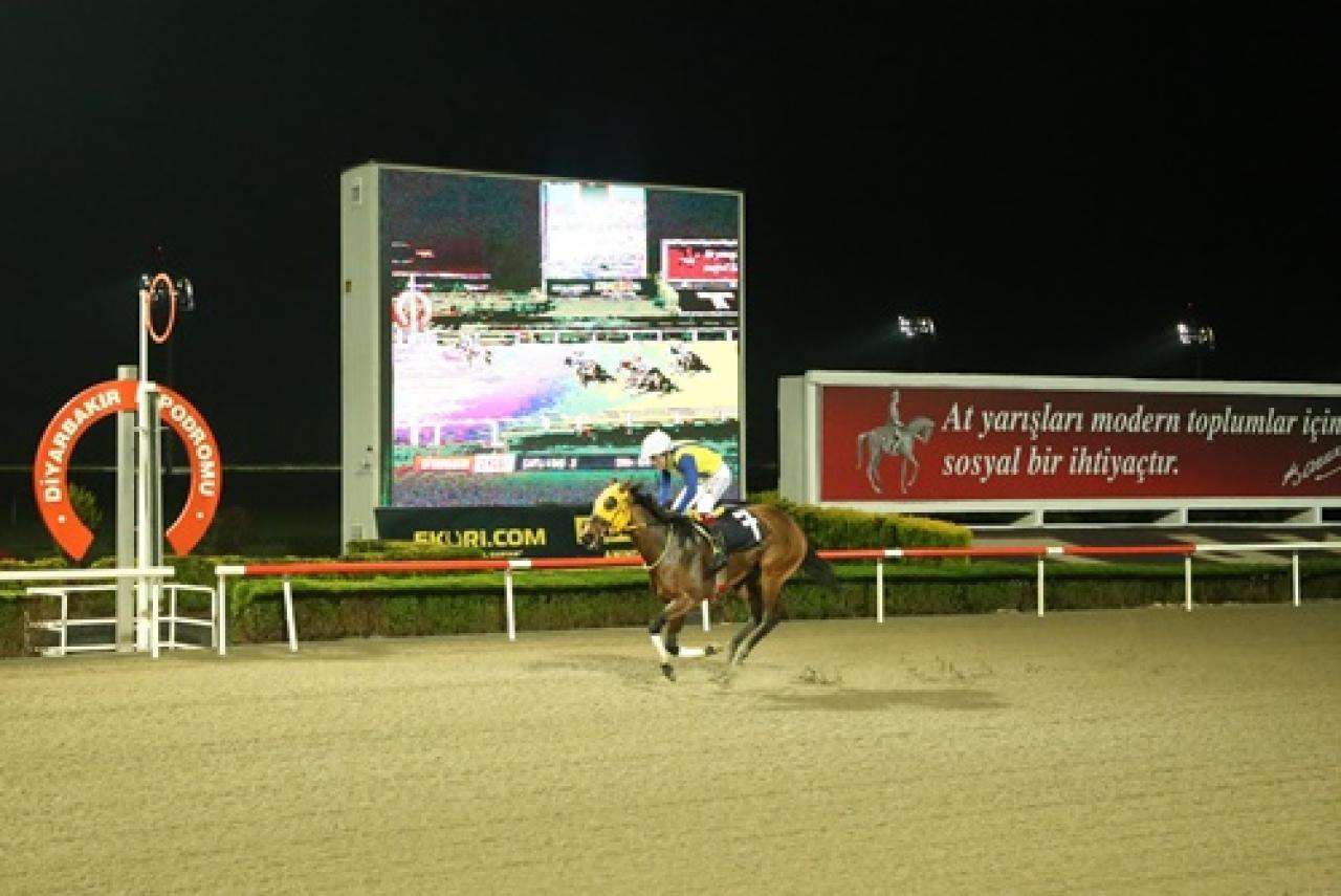 Diyarbakır İl Kültür ve Turizm Müdürlüğü Koşusu'nda galibiyet Telgraf'ın oldu