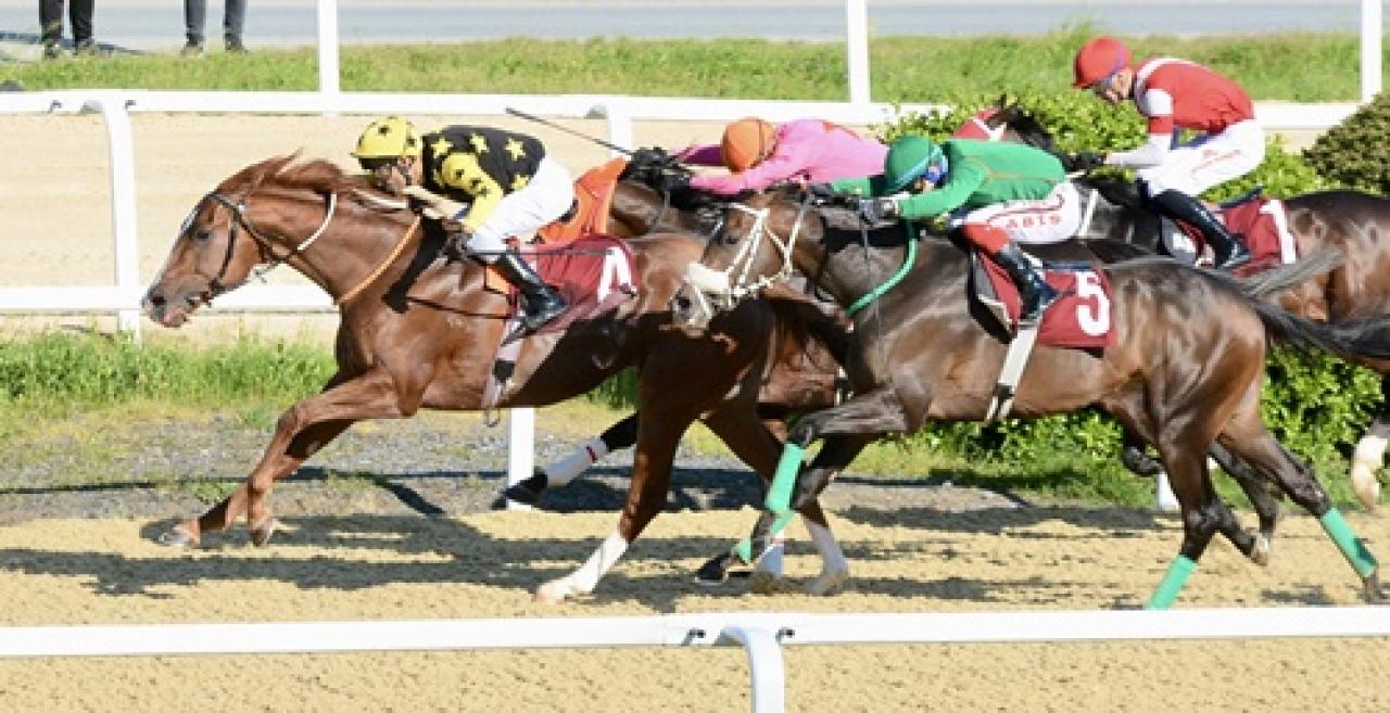 M. Halim Celaloğlu Koşusu'nu Poetry In Motion kazandı