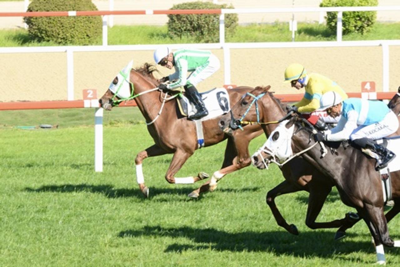 Ali Doğan Ünlü Koşusu'nu Tonbi kazandı