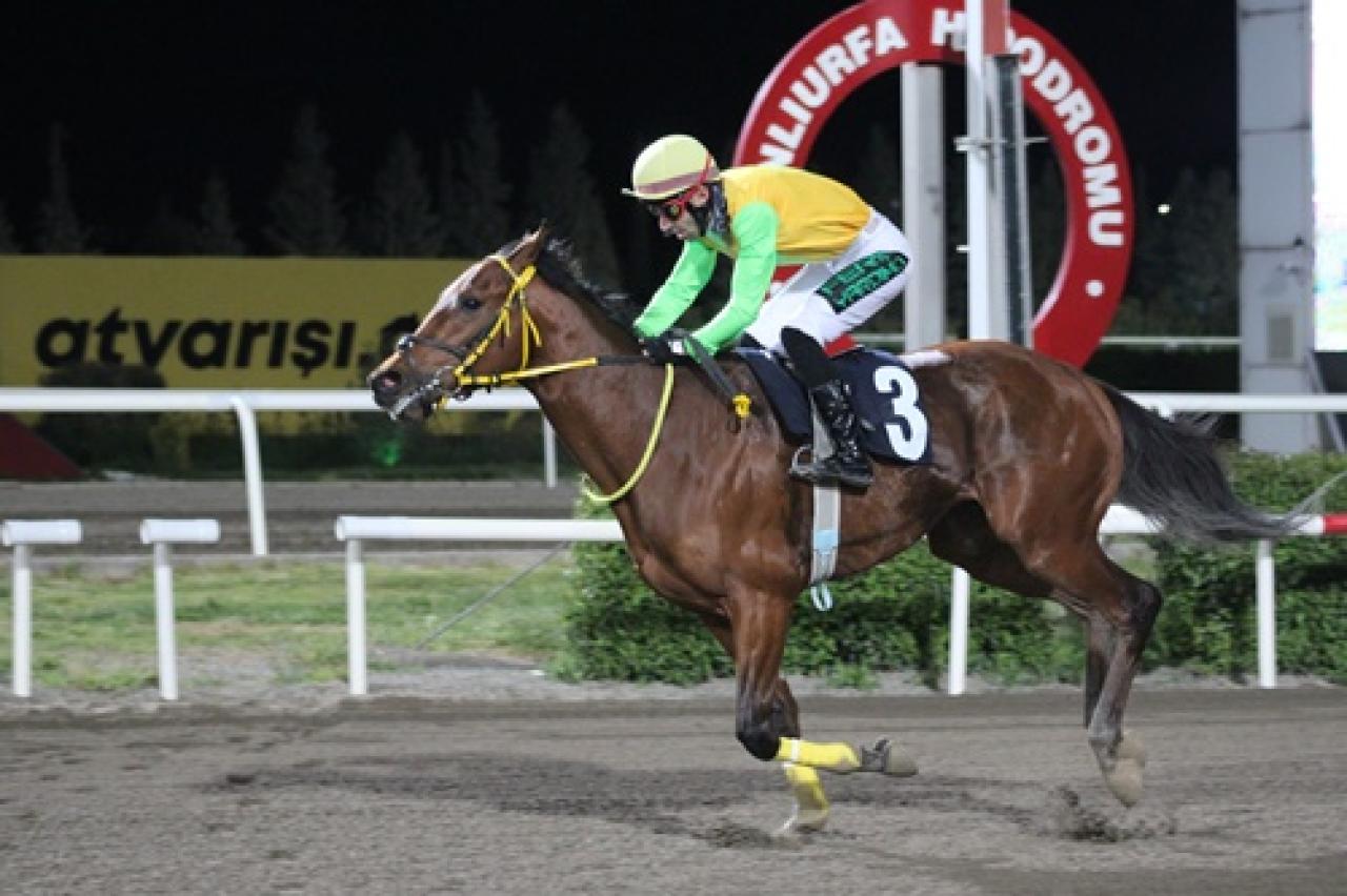 Harran Üniversitesi Koşusu'nda kazanan King Ferit oldu