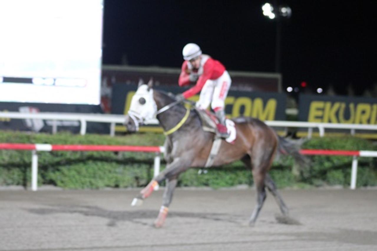 Şanlıurfa Veteriner Hekimler Odası Koşusu’nu King Ova kazandı