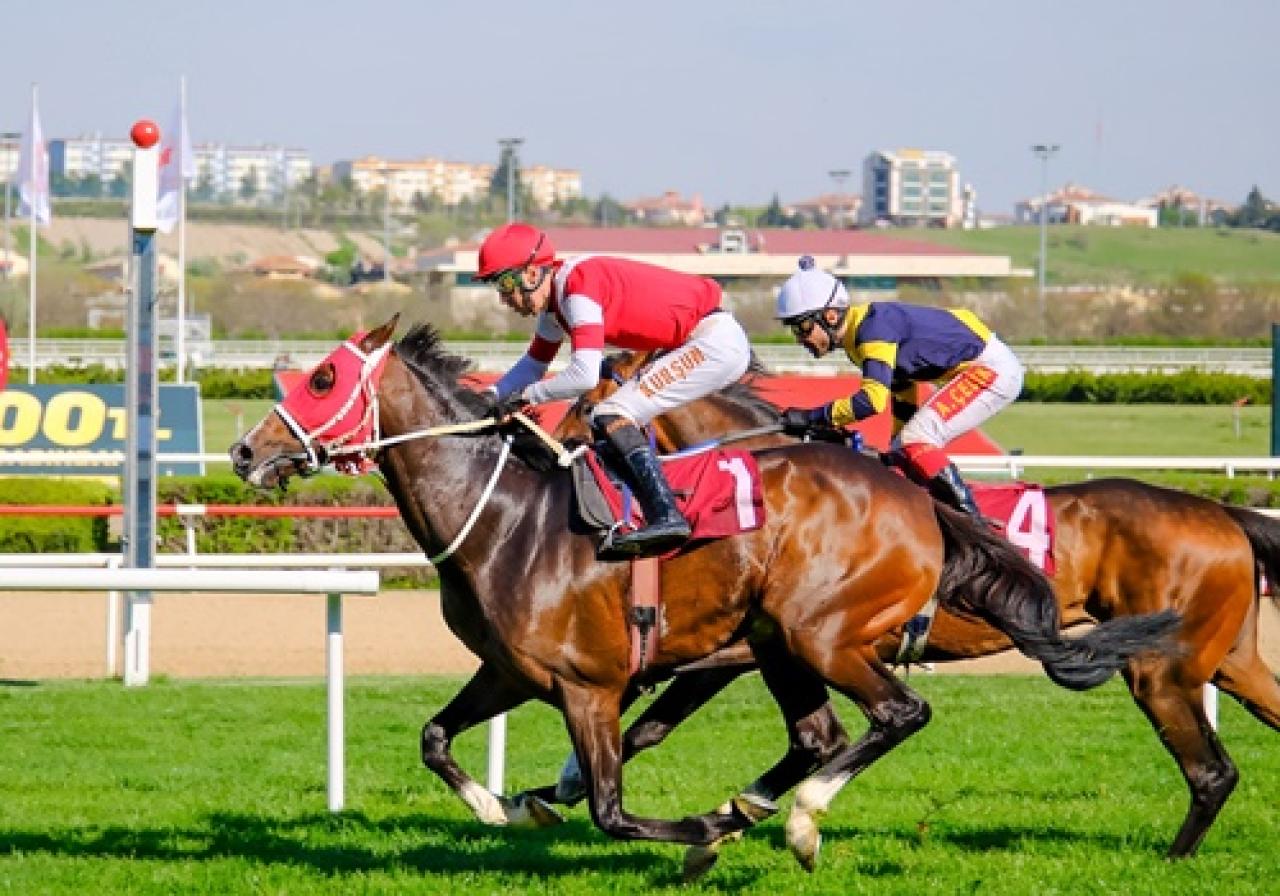 Dünya Veteriner Hekimler Günü Koşusu’nu Altınsima kazandı
