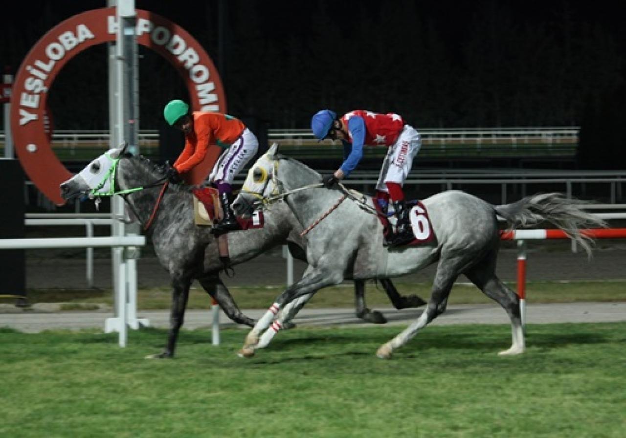 İsmet Atlı Koşusu'nda birinciliğe Saçanşah uzandı