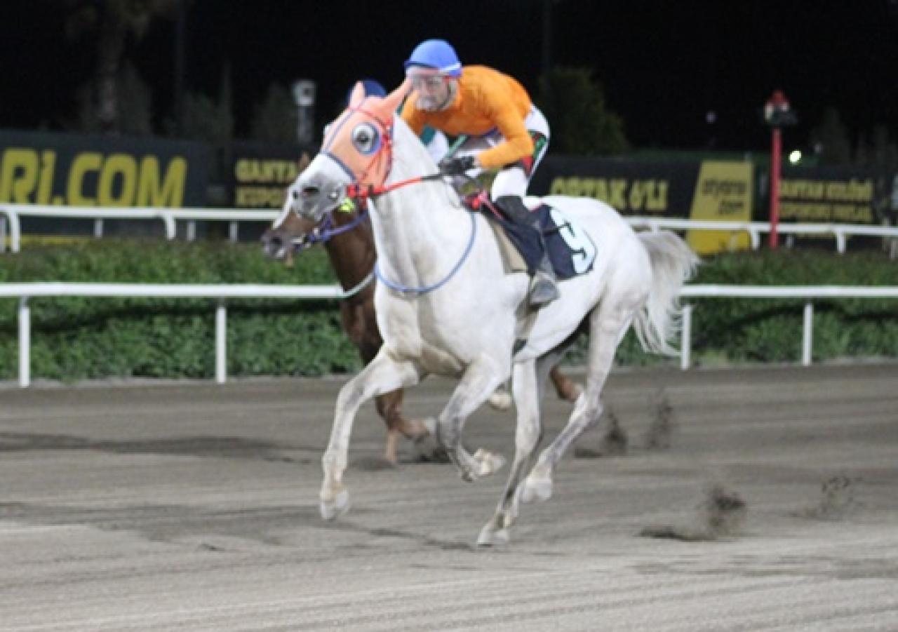 Şanlıurfa İl Emniyet Müdürlüğü Koşusu’nu Muşfırtınası kazandı