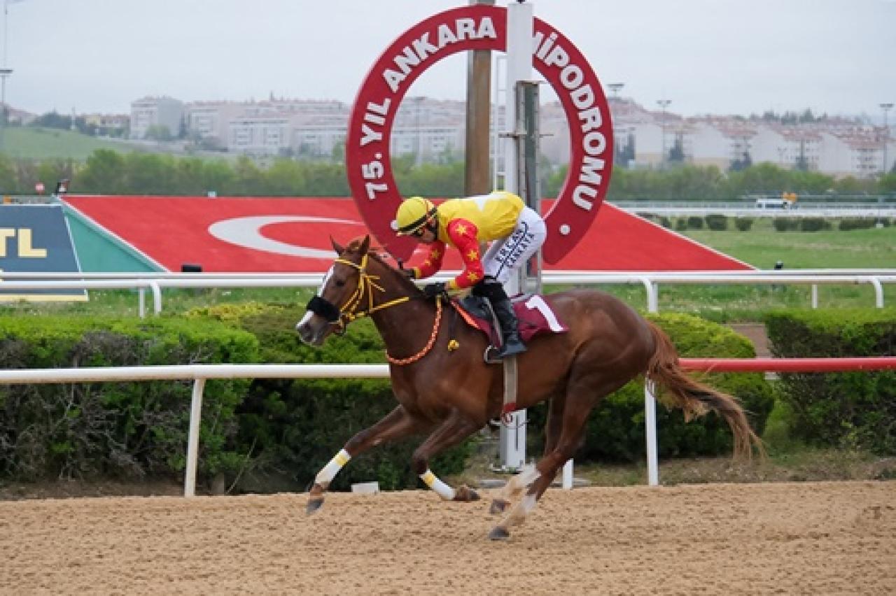 AB Başkanlığı Avrupa Günü Koşusu'nda kazanan Good Wiew Glory oldu