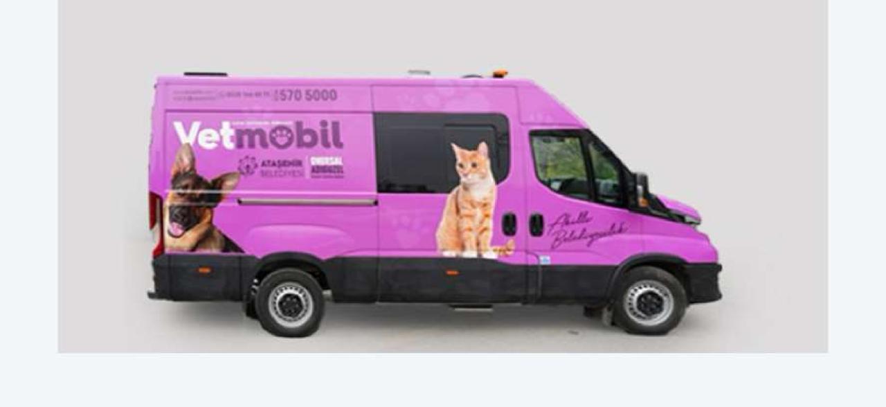 VETMOBİL YOLDA, CAN DOSTLARIMIZIN YANINDA
