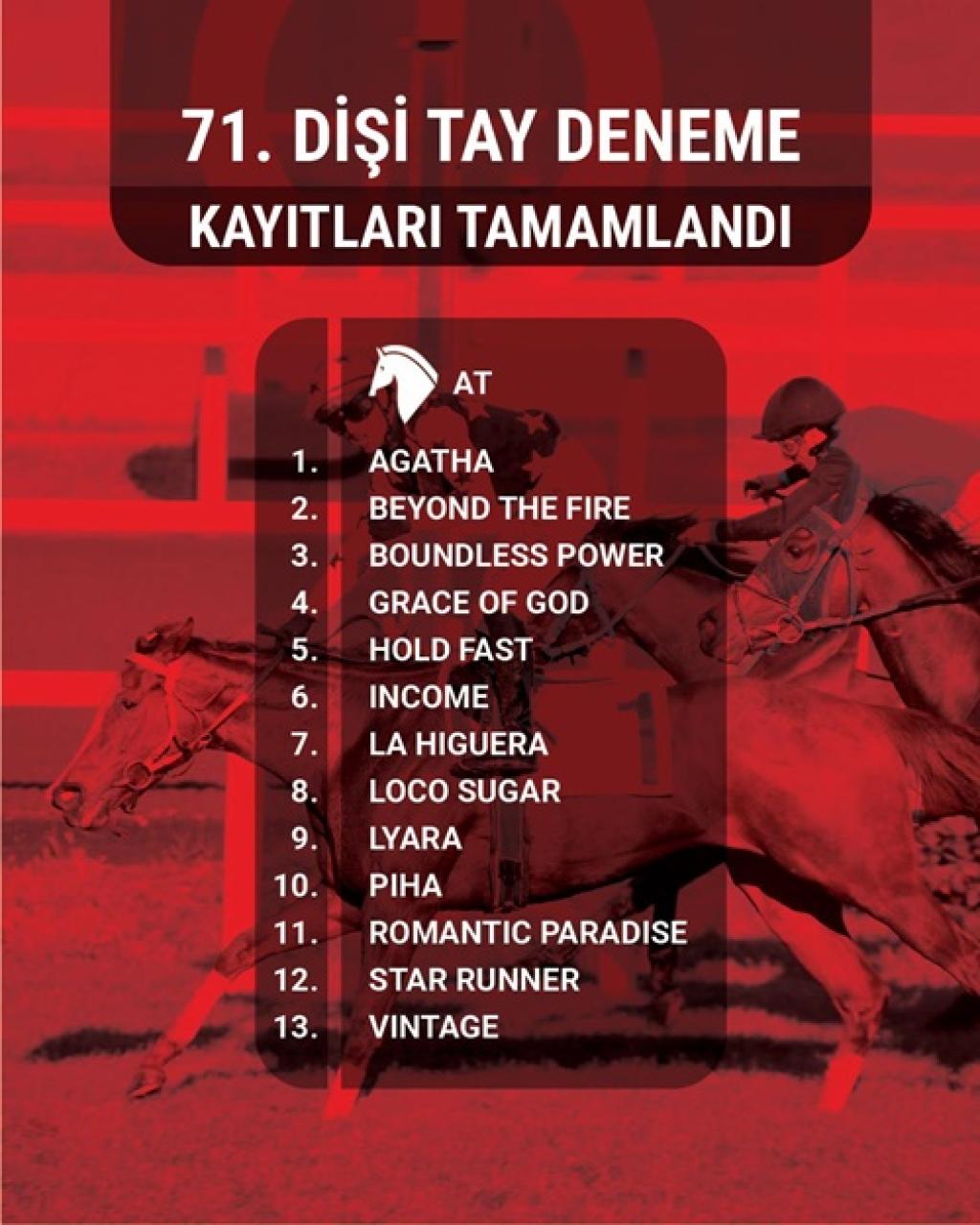 71. Dişi ve Erkek Tay Deneme Koşularında kayıtlar tamamlandı
