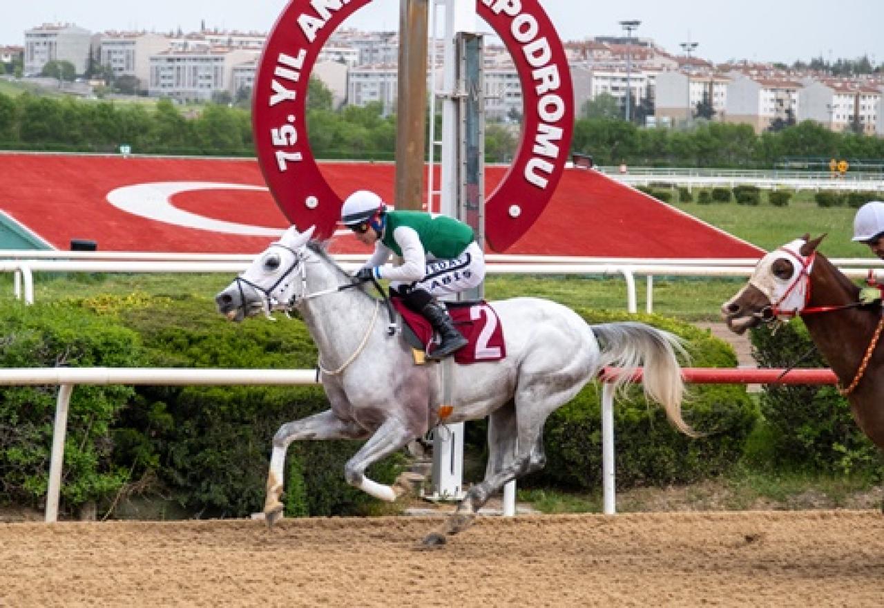 Mehmet Ali Kiper Koşusu'nu Muhlif Baba kazandı