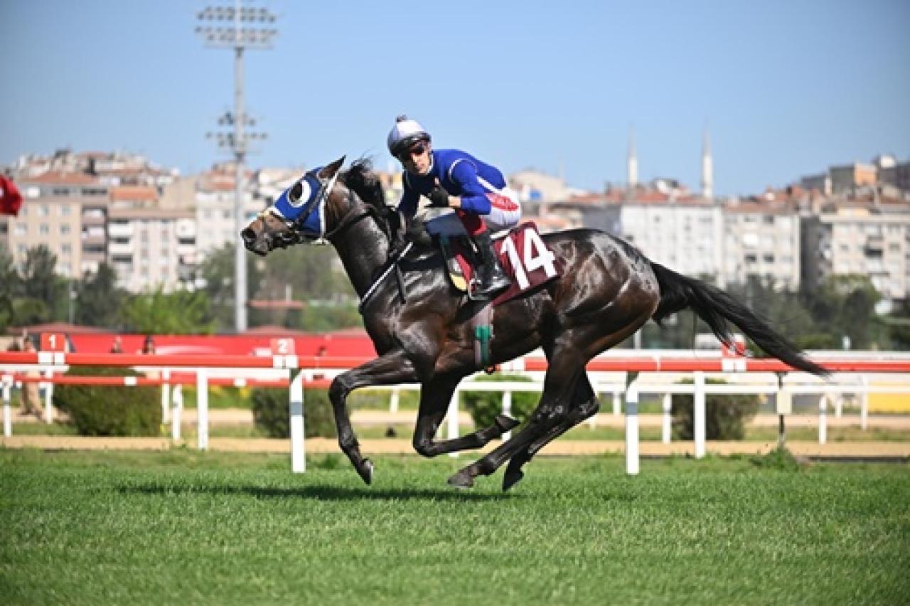 Dinçer Cebeci Koşusu'nda zafere The Real One uzandı