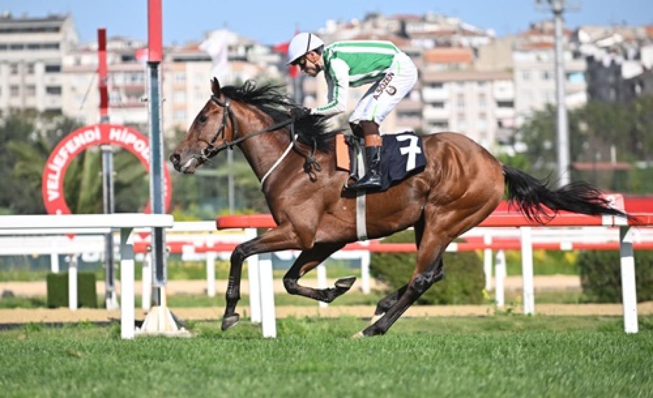 Yavuz Gülerce Koşusu'nu Parker kazandı