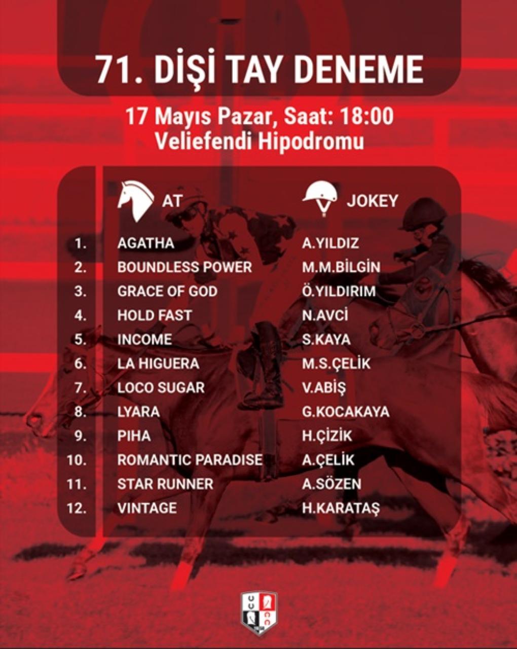 71. Dişi ve Erkek Tay Deneme Koşuları Pazar günü Veliefendi'de
