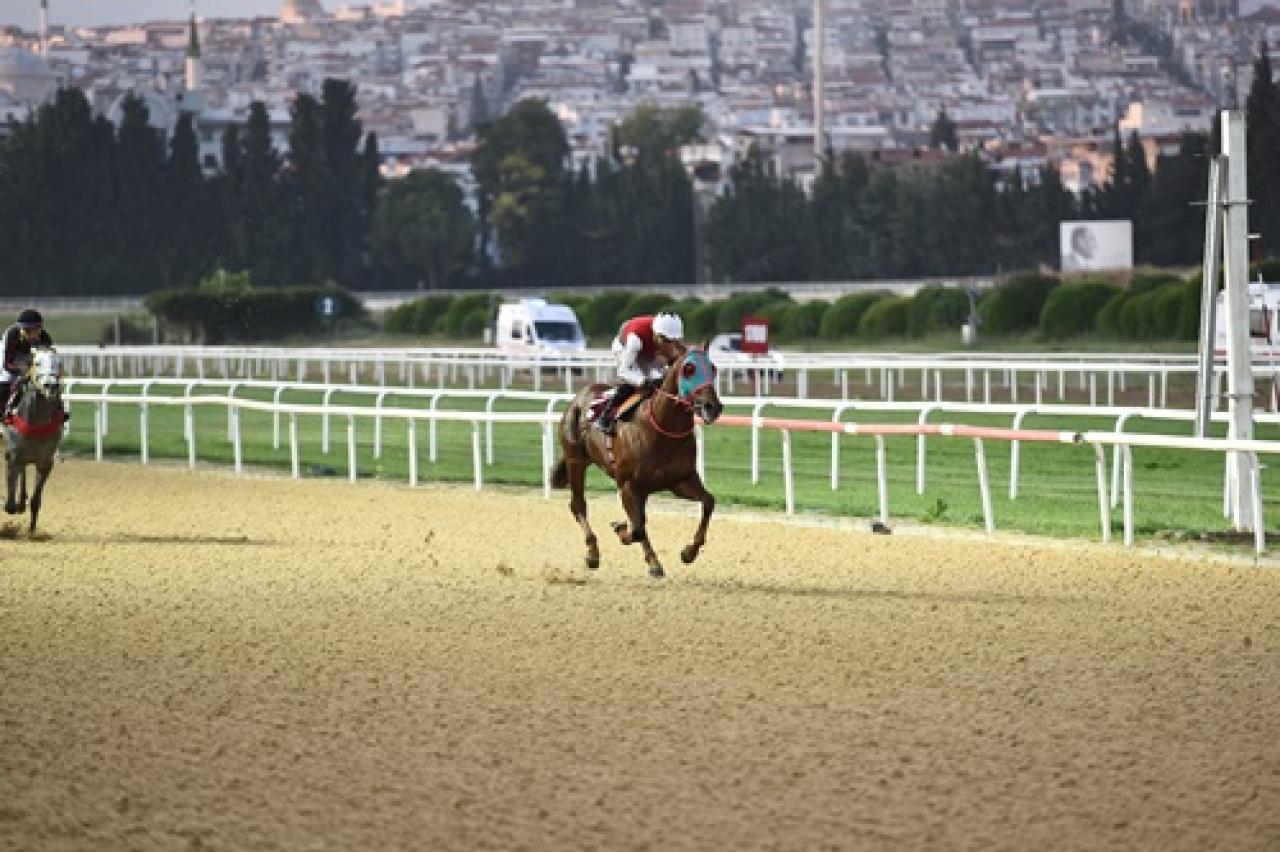 Berat Gökçe Koşusu'nu Huge Succes kazandı