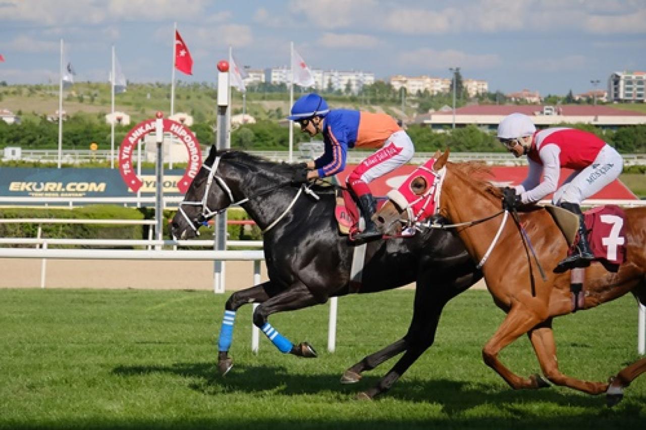 TEMA Vakfı Toprak Yaşamdır Koşusu'nu Ride The Lightning kazandı