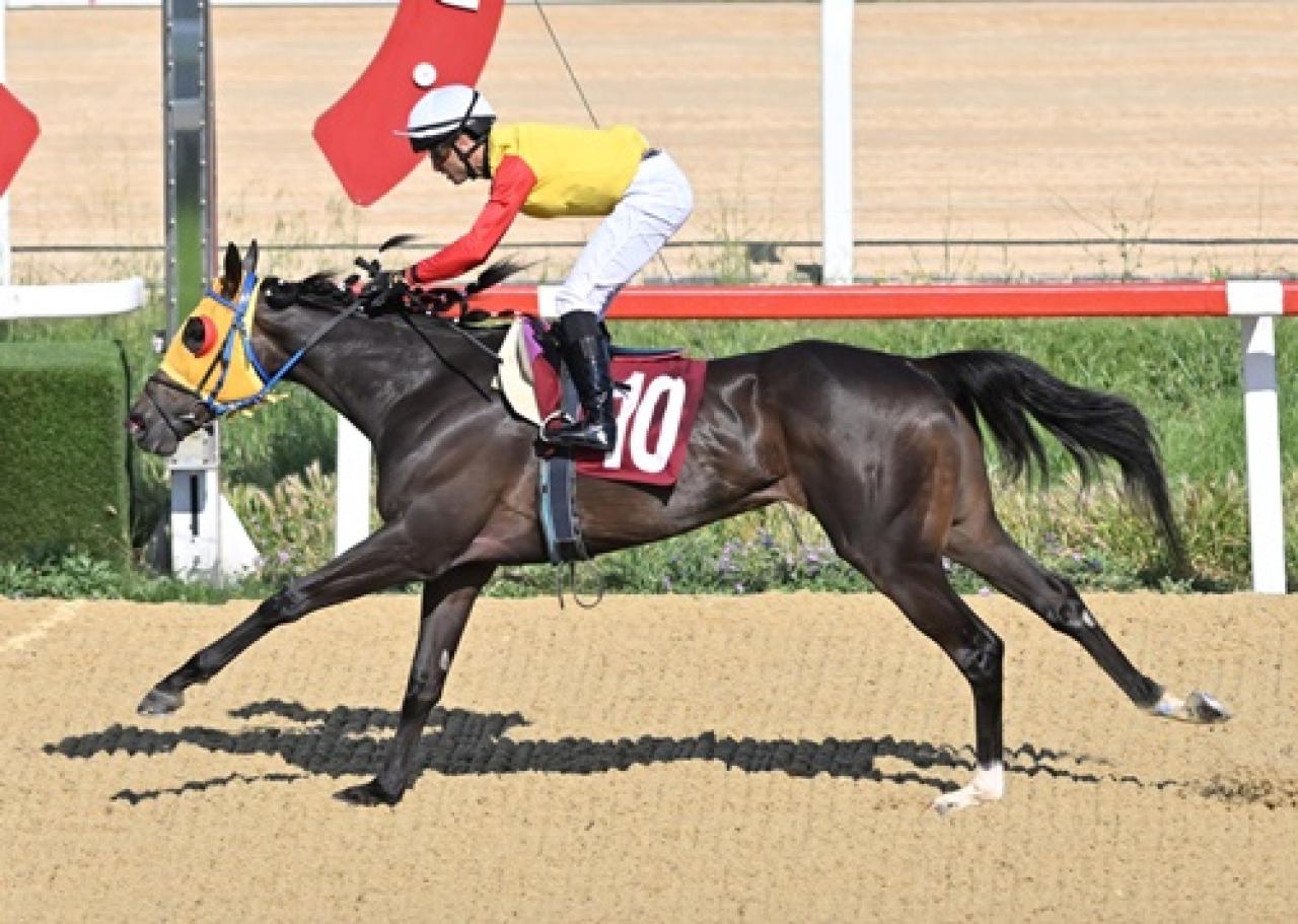 A.  Semiral Bilbaşar Koşusu'nu Whisper Of Victory kazandı