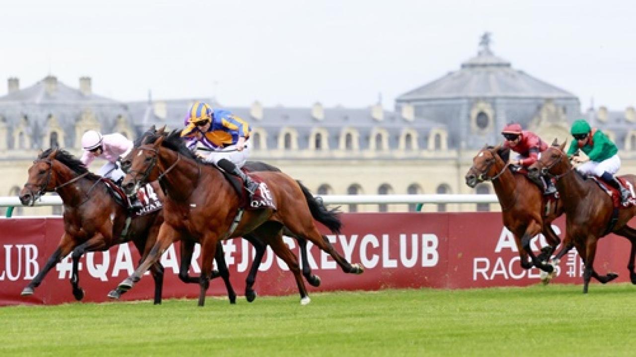 Prix du Jockey Club’ı Constitution River adlı tay kazandı